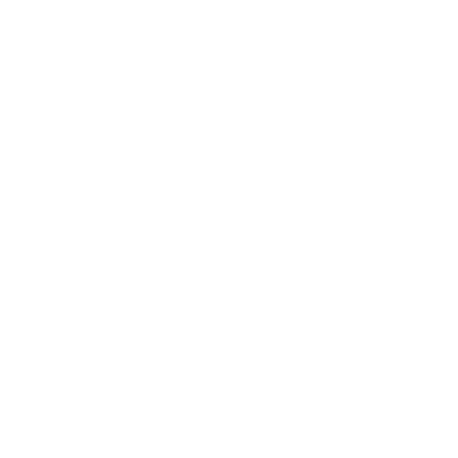 NUESTROS VALORES
