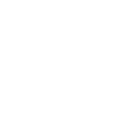 NUESTRA VISIÓN